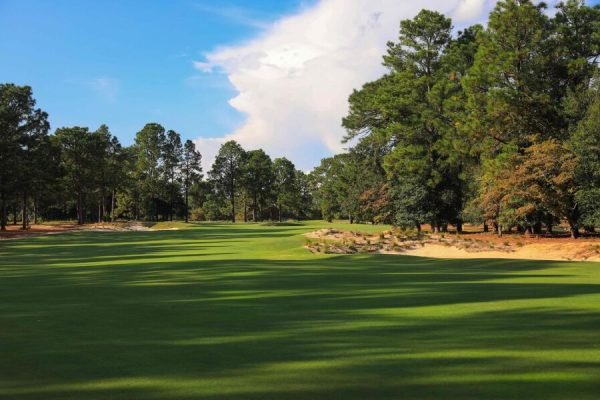Golfer teeing off at Pinehurst Resort, minutes away from Vacation Pines lodging.